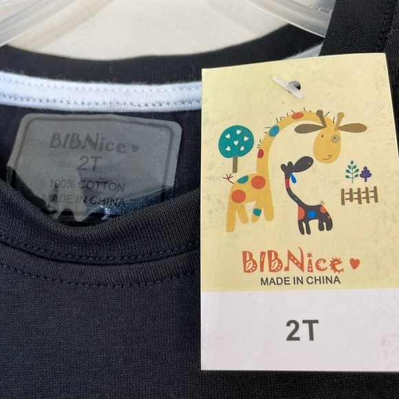 NWT. BIB Nice Toddler’s 2T Graphic Short Sleeve T Shirt. - Picture 2 of 6
